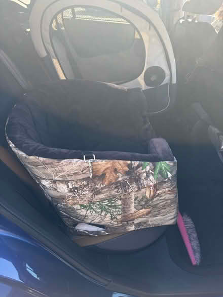 Photo of free Car booster seat for small dog (Eatontown) #2