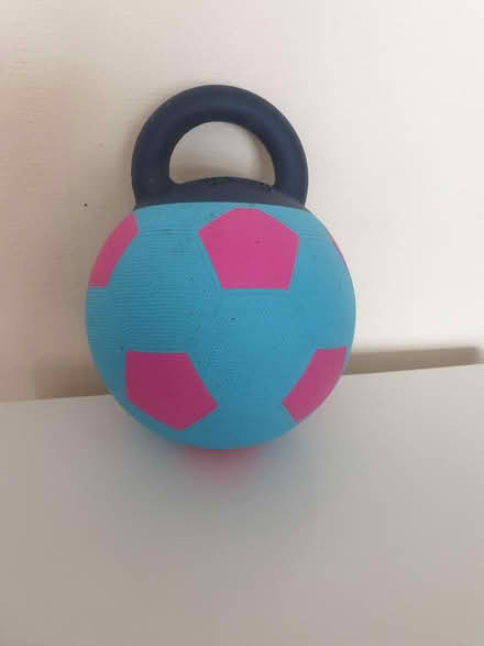 Photo of free Jumball doggy toy (Chirton, North Shields NE29) #2