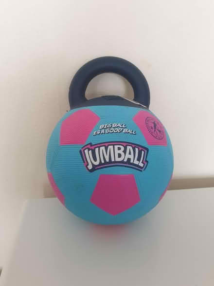Photo of free Jumball doggy toy (Chirton, North Shields NE29) #3