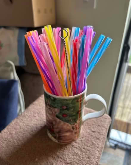 Photo of free 28 straws & 1 cleaning brush (Jennetts park RG12) #1