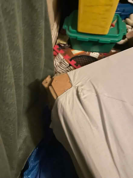 Photo of free Bed base (Freehold LA1) #2