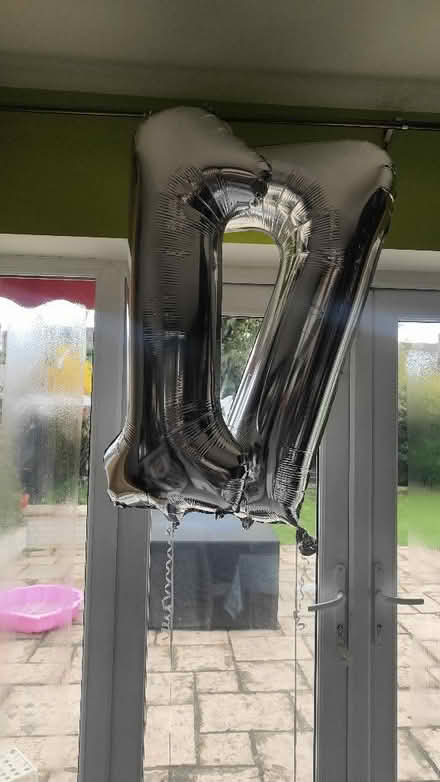 Photo of free 17th Birthday Party Decorations (Woodley RG6) #2
