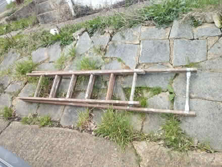 Photo of free Timber ladder (Crystal Palace) #1