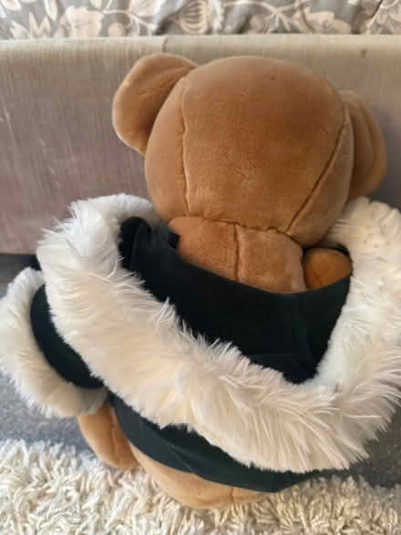 Photo of free 2001 Harrods Teddy Bear (Carshalton) #4