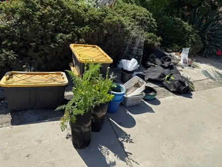 Photo of free Garden items (Sunnyvale near Wolfe and Reed) #1