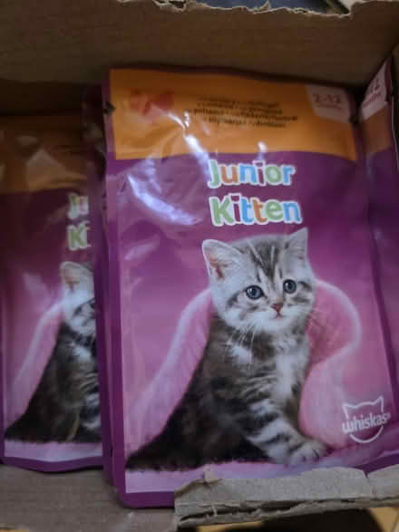 Photo of free Kitten food for Kittens only (Chester CH2) #2