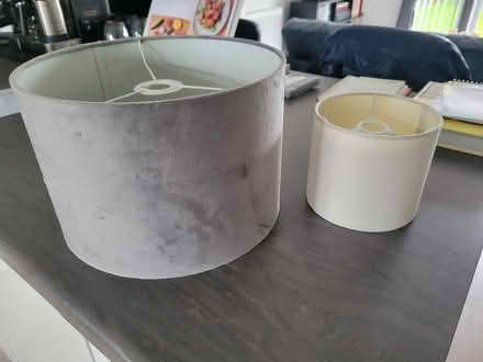 Photo of free Lampshades (Springfield WN6) #1