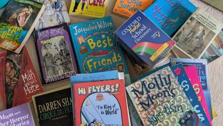 Photo of free teenage fiction books (Tring Wharf HP23) #1