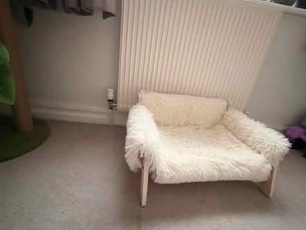 Photo of free Cat chair (SW16 1EG) #1