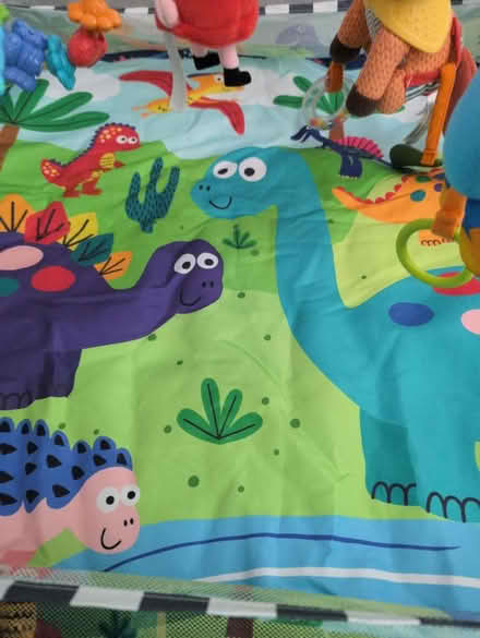 Photo of free Activity mat (Wavertree) #4