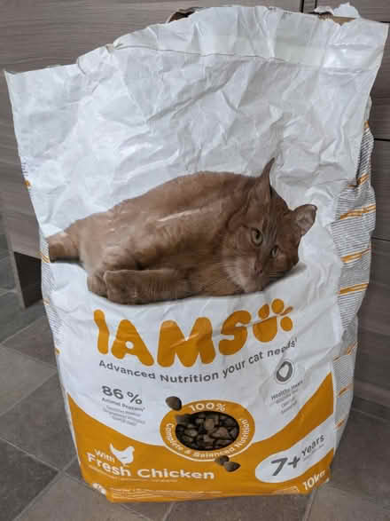 Photo of free Around 500g of IAMS cat food (Wood Street) #1