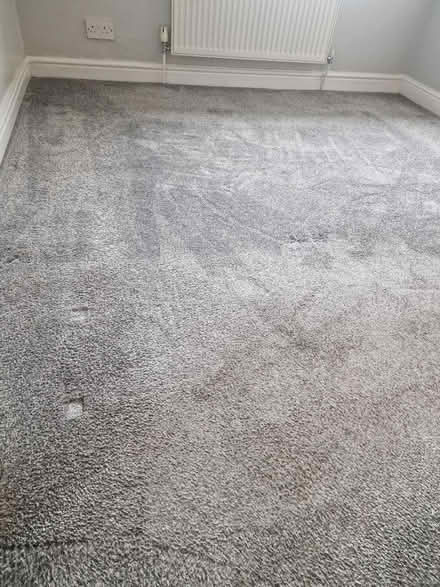 Photo of free Grey bedroom carpet (Barnsley S71) #3
