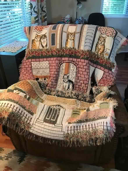 Photo of free Cotton throw (South Novato near Hamilton) #1