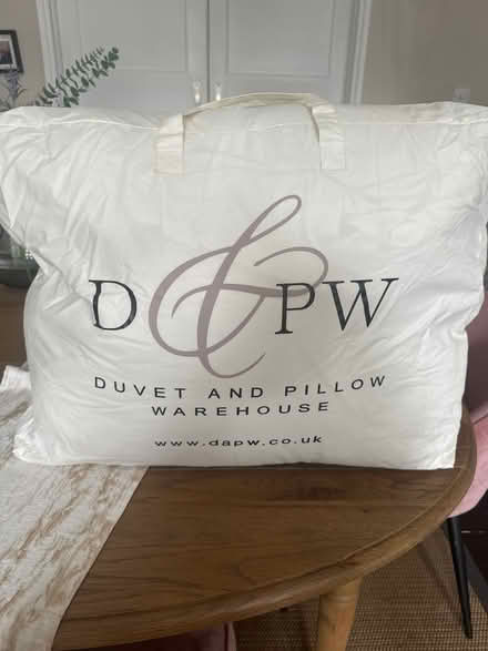 Photo of free Two King size goose down quilts (BR3) #1