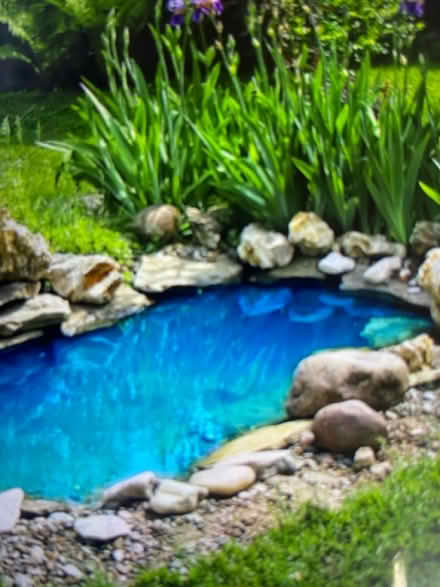 Photo of pond items (Matlock DE4) #1