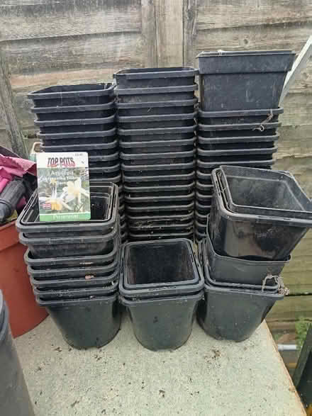 Photo of free Square Plant pots (St Nicholas SG1) #1