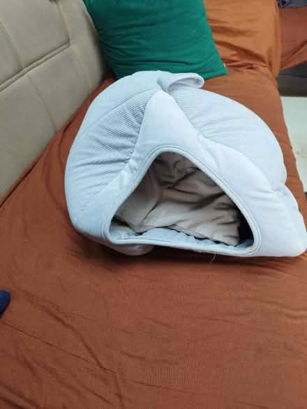 Photo of free Cat bed (Hanworth TW13) #1