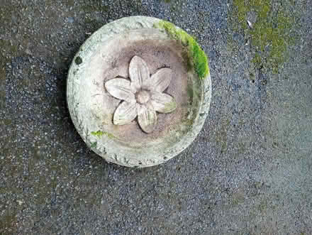 Photo of free Bird Bath (Tockenham SN15) #1