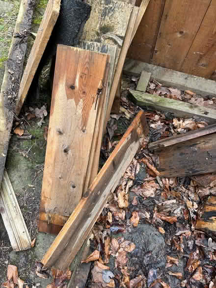 Photo of free Wood ideal for small raised beds (EH25, Roslin) #2