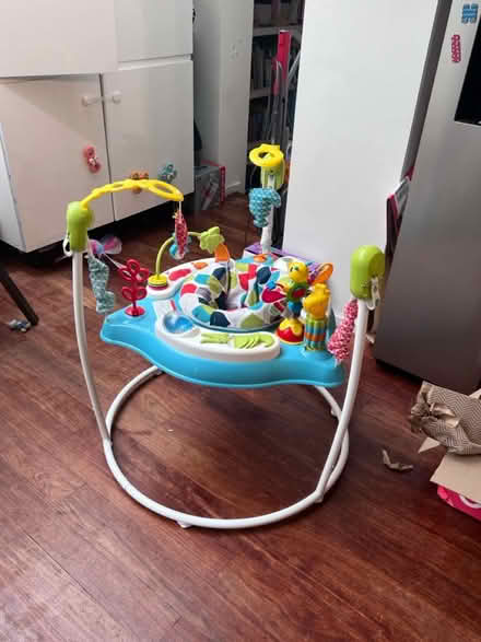 Photo of free Baby Bouncer (Dartmouth Park NW5) #3