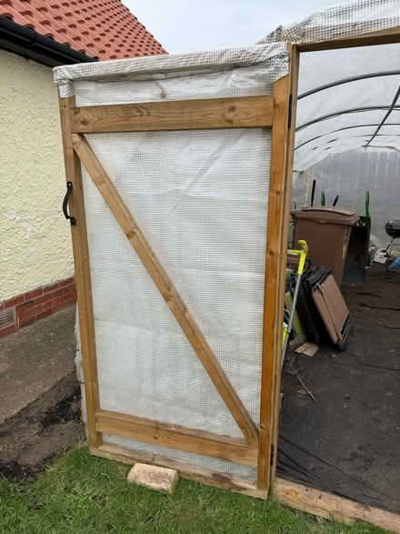 Photo of free 6m x 3m POLYTUNNEL (Nafferton YO25) #2