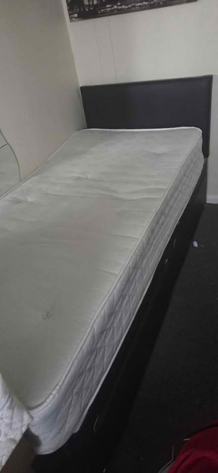 Photo of free Single bed (Southampton) #2