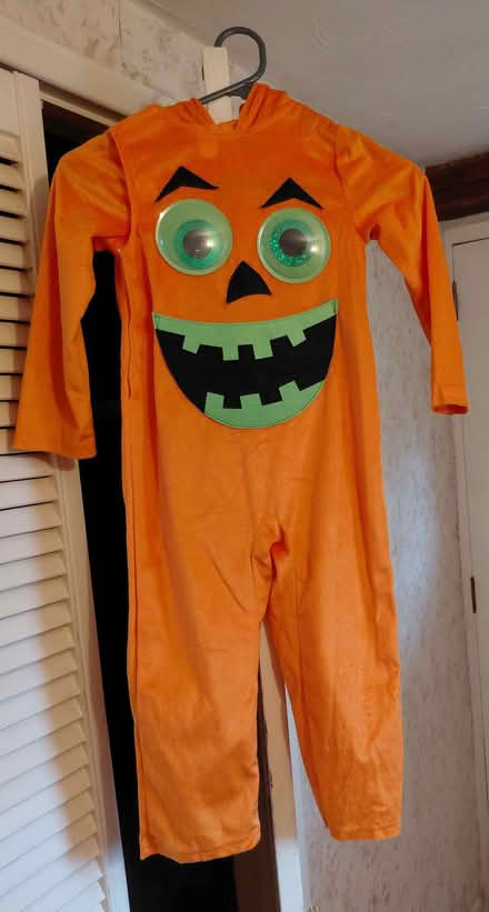 Photo of free 3-4yr halloween (Twyford RG10) #1