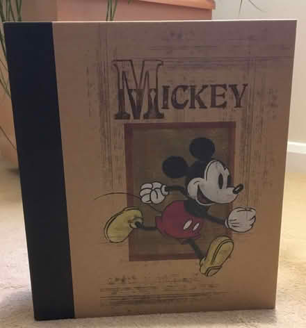 Photo of free Mickey Mouse lever arch file (Upper Bevendean BN2) #1