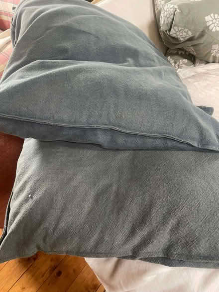 Photo of free 2 large Ikea pillows and Grey covers (Dutton PR3) #1
