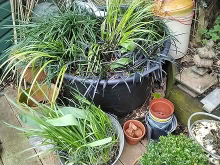 Photo of free Large black tub for garden (Osney OX2) #1