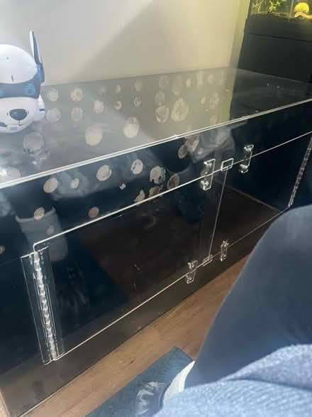 Photo of free Very large Terrarium (Shenley WD7) #1