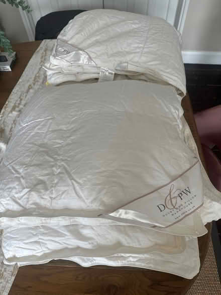 Photo of free Two King size goose down quilts (BR3) #2