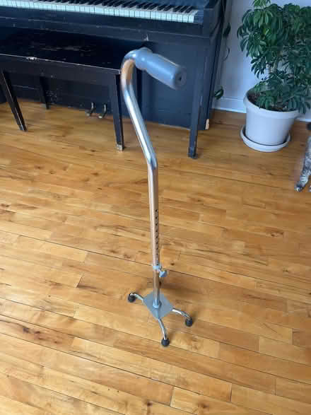 Photo of free Walking Aid/Cane (Grove Rd and Harris) #1