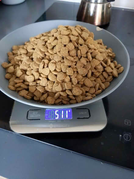Photo of free Around 500g of IAMS cat food (Wood Street) #2