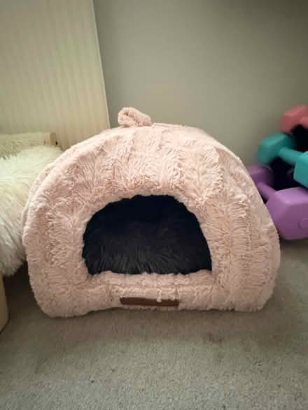 Photo of free Cat house (SW16 1EG) #1