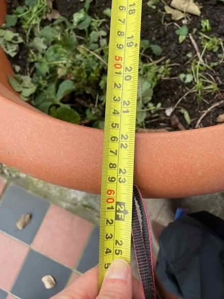 Photo of free Very Large Plastic Garden Pot (Haringey, near St Ann's, N15) #3