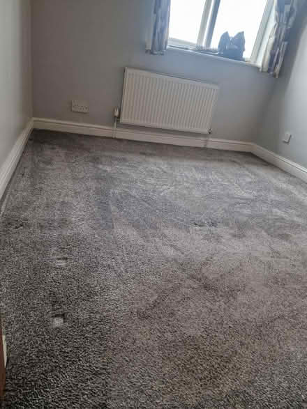 Photo of free Grey bedroom carpet (Barnsley S71) #2