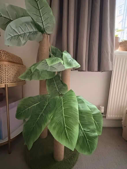 Photo of free Palm tree cat scratching post (SW16 1EG) #1