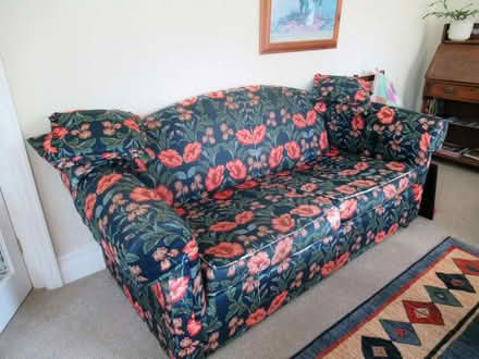 Photo of free Sofa & Armchair (Llandrindod LD1) #1