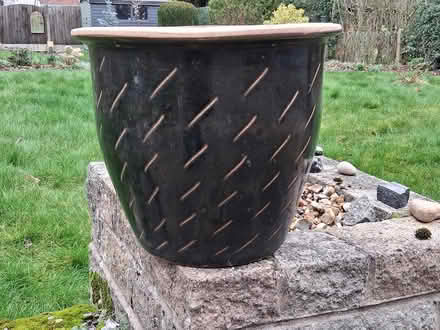 Photo of free Garden Things (Eccleshall Road) #2