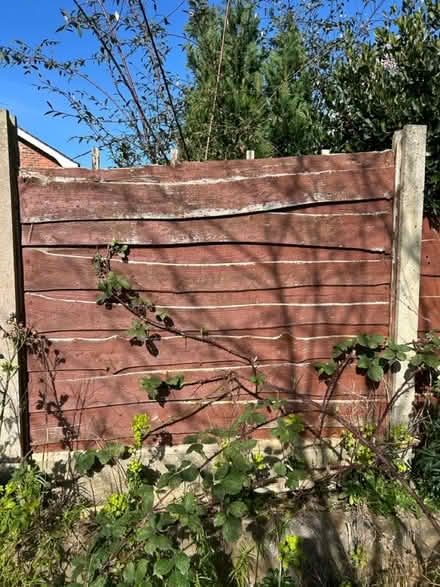 Photo of free 20 x fence panels (Lymm) #2
