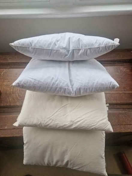 Photo of free 4 feather cushion squabs (Southborough) #1