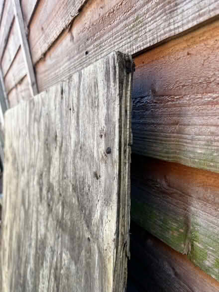 Photo of free Marine ply sheet (Hulme M16) #3