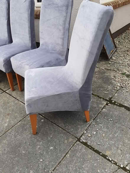 Photo of free 6 dining room chairs (Delgany) #3