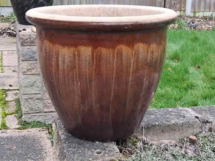 Photo of free Garden Things (Eccleshall Road) #3