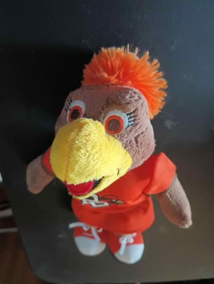 Photo of free Bowling Green S U Mascot (Virginia Beach - Salem Lakes) #2