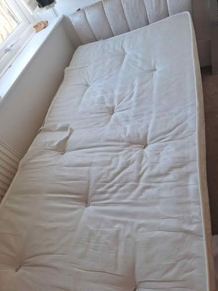 Photo of free Single bed with mattress (Shipley BD18) #1