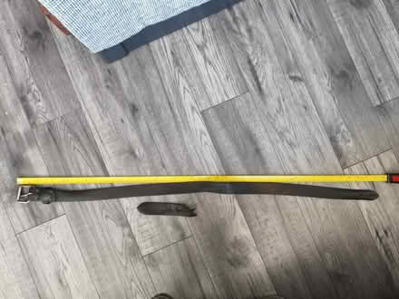 Photo of free Leather belt (Bradway S17) #1