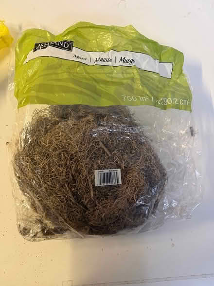 Photo of free Decorative Moss - opened bag (midtwn) #1