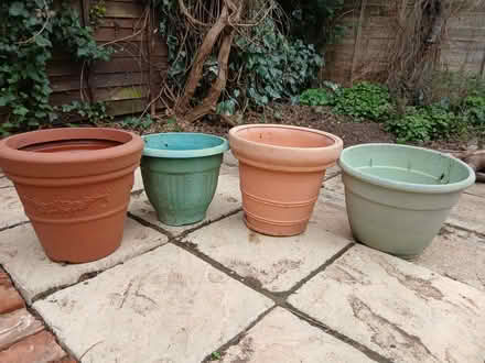 Photo of free Shrub pots (Letchworth SG6) #1